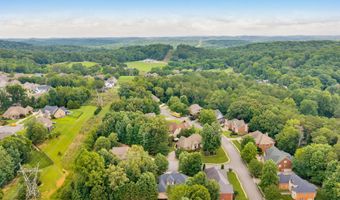 9237 Leaf Brook Ln, Apison, TN 37302