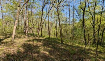 9 Old Stage Rd, Ardmore, TN 38449