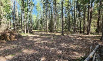 1365 MT Highway 209, Bigfork, MT 59911