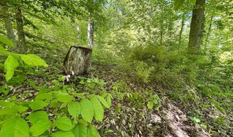 7761 E State Road 54, Bloomfield, IN 47424