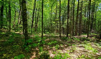 1905 Camp Munn Rd, Bradford, VT 05033
