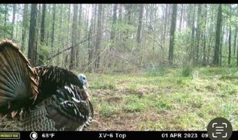 Highway 9N, Banner, MS 38913