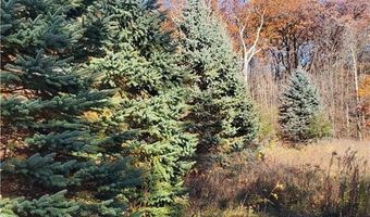 Lot 3 E Cedar Lake Ct, Alden, WI 54026