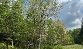 Sam Smith Rd, Allardt, TN 38504