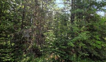 4204 Truckey Rd, Alpena, MI 49707