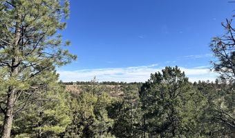 T15B Partridge Ct. lot Tract 15B, Alto, NM 88312