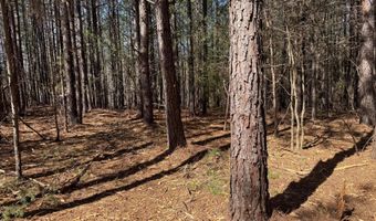 MOUNTAIN CUT RD lot A, Appomattox, VA 24522