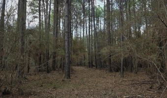 U.S. Highway 51, Bogue Chitto, MS 39629