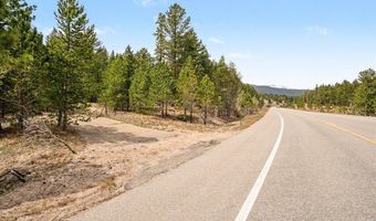 12190 Highway 7, Allenspark, CO 80510