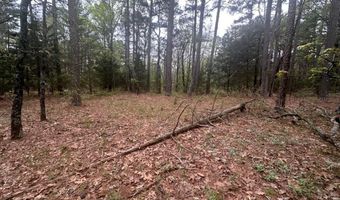 UNIT # 263B KIAMICHI WILDERNESS RD Unit # 63 63, Antlers, OK 74523