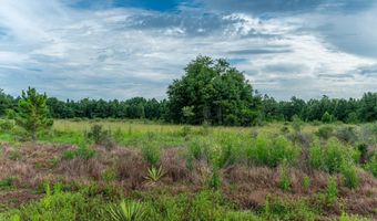 F-9 Long Branch Farm Road, Baker, FL 32531