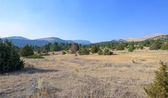 NHN Trails End Drive, Anaconda, MT 59711