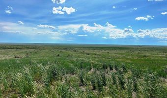 0 County Road 80, Briggsdale, CO 80611