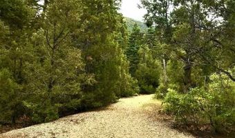 53 Paw A Suki, Arroyo Seco, NM 87514