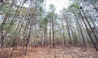 Lot C112 DOCK SIDE Lane, Lincolnton, GA 30817