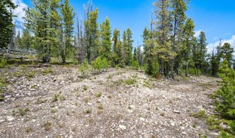 NHN Rosa Trail, Anaconda, MT 59711