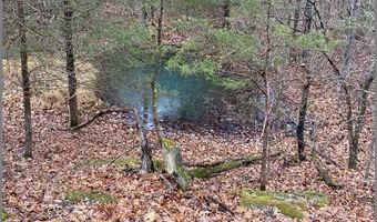 3013-3015 Possum Trot Rd, Ash Flat, AR 72513