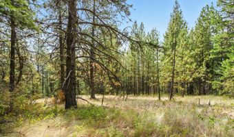 NNA USFS 2550 40 acres, Blanchard, ID 83804
