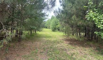 Colice Hall Lane, Ahoskie, NC 27910