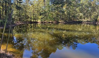 7501 Rainey Morris Rd, Appling, GA 30802