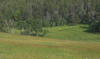 387 OLD CAMP Rd, Bellvue, CO 80512