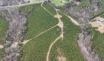 Old Courthouse Road, Appomattox, VA 24522