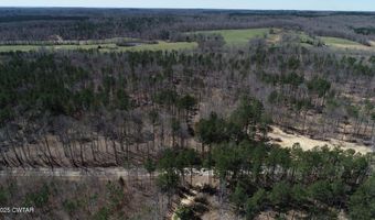 Tract 8 State Route 225, Bethel Springs, TN 38315