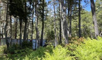 29331 Albion Ridge Rd, Albion, CA 95410
