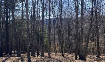 L22.2 Alder Pond Road, Andes, NY 13740