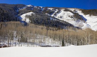 640 S Hayden Rd, Aspen, CO 81611