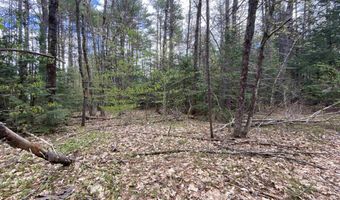 Lot 34 Old Bridge Court, Effingham, NH 03882