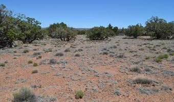 N8604, Concho, AZ 85924