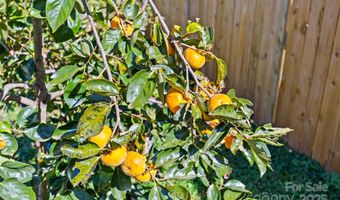 2553 Elkwood Cir, Charlotte, NC 28205