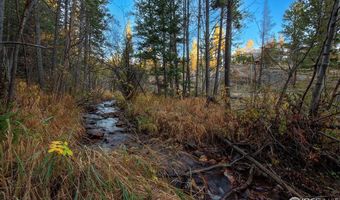 1997 Big Owl Rd, Allenspark, CO 80510