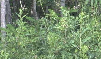 Cantania/Ridge Road, Bay St. Louis, MS 39520