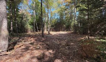 Beaver Trail lot # 1, Alder Creek, NY 13301
