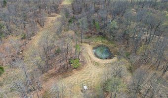320 Acres CR 921, Alpena, AR 72611