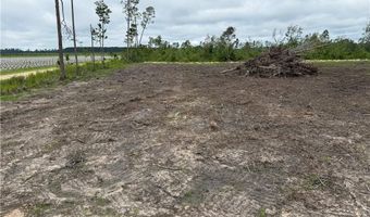 9 219 Ac Rhine Alma GA Rd, Alma, GA 31510