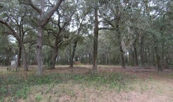 4820 10th St, Bell, FL 32619