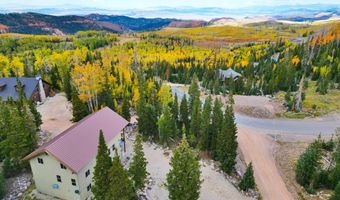 161 N IRISH, Brian Head, UT 84719