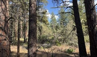 Thunder Bear Road, Bonanza, OR 97623