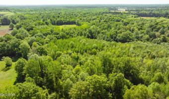 Beech Bluff Road, Beech Bluff, TN 38313