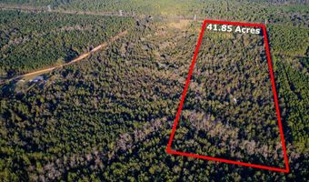 0 Morris Lndg, Baxley, GA 31513