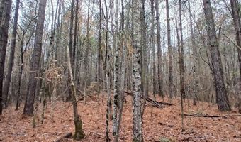 0 VENABLE Rd, Argo, AL 35173