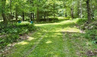 253 Davis Hollow Rd, Andes, NY 13731