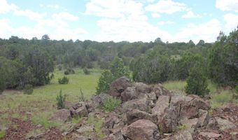 29 Co Rd 3199, Vernon, AZ 85940
