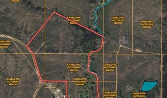 Delancey Road, Braxton, MS 39044