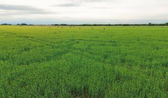 000 NW 50 Ave Lot 3 4, Anthony, KS 67003