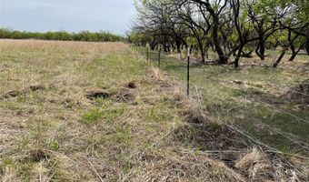 Hwy 6, Albany, TX 76424