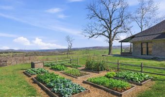 24352 State Highway Ee, Aurora, MO 65605